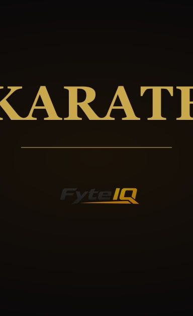 2026 Chicago International Karate Open
